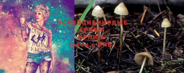 ГАЛЛЮЦИНОГЕННЫЕ ГРИБЫ Алексин