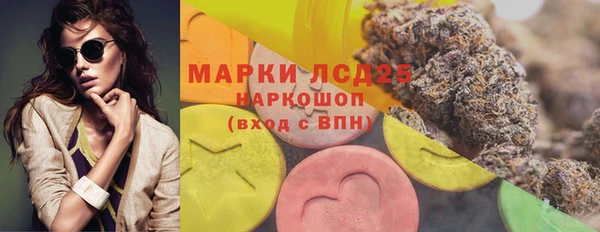 СК Абинск
