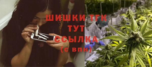 ГАЛЛЮЦИНОГЕННЫЕ ГРИБЫ Алексин