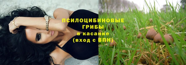 прущая мука Алзамай