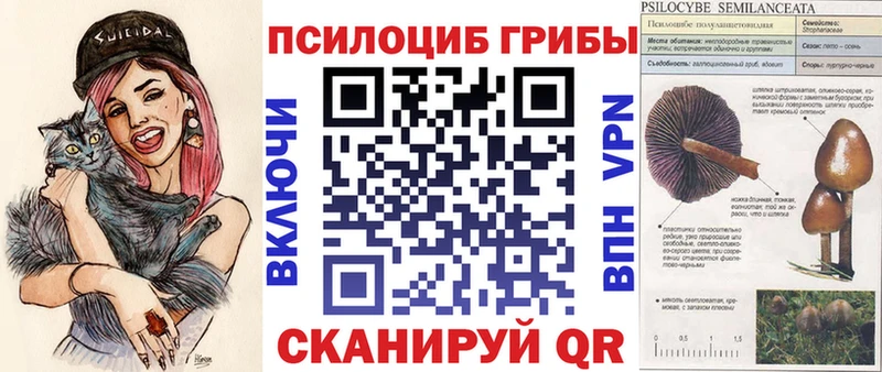 купить наркотик  Сольвычегодск  blacksprut онион  Галлюциногенные грибы GOLDEN TEACHER 